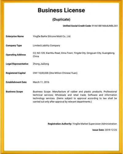 bksilicone business license